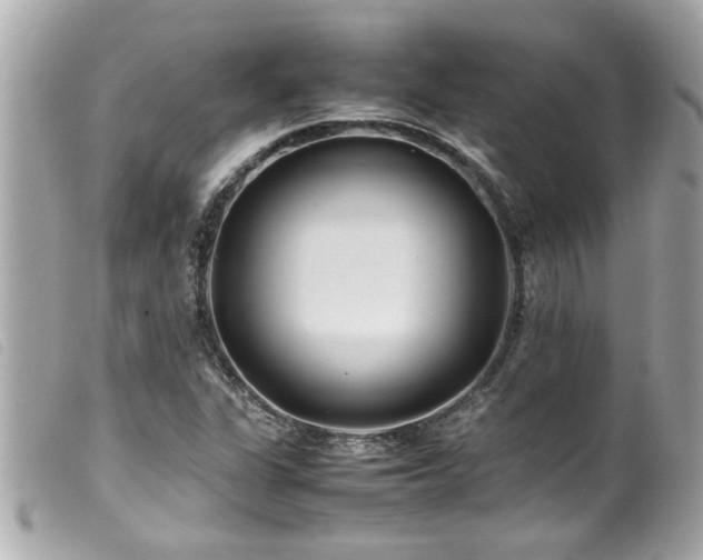 X0000100221311200805301338