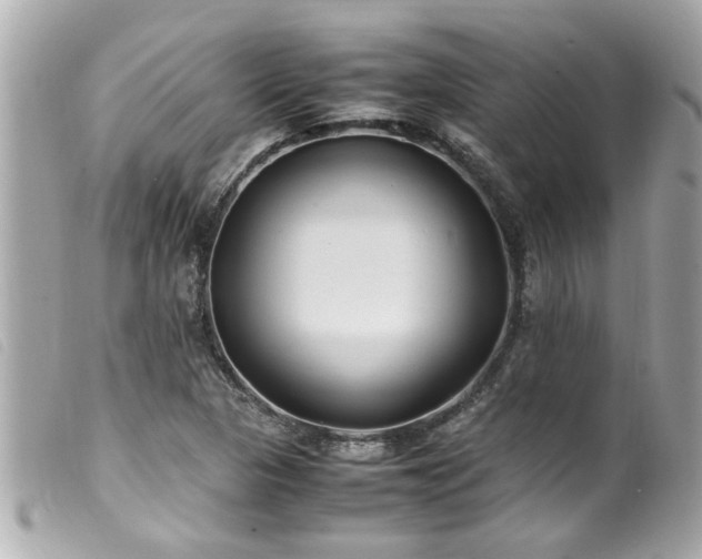 X0000100221313200805301338