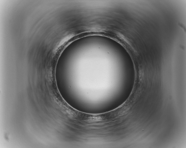 X0000100221315200805301338