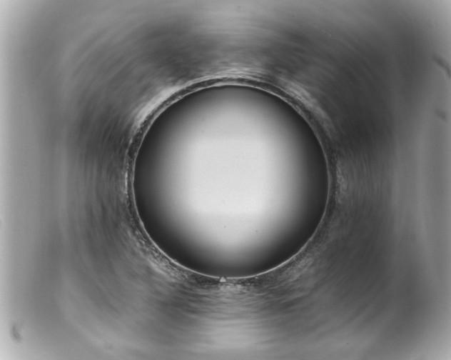 X0000100221316200805301339