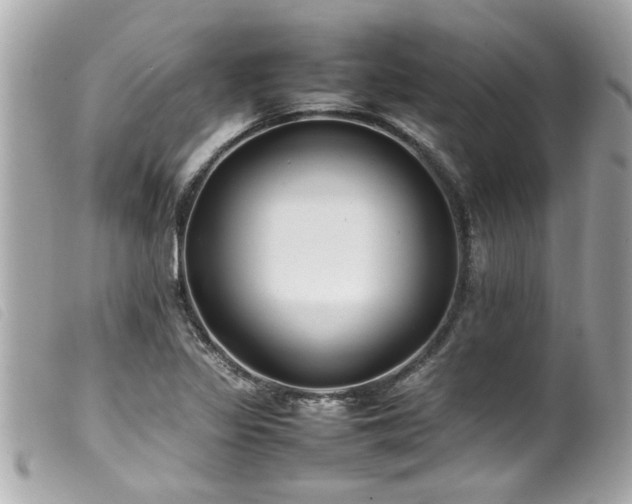 X0000100221317200805301339