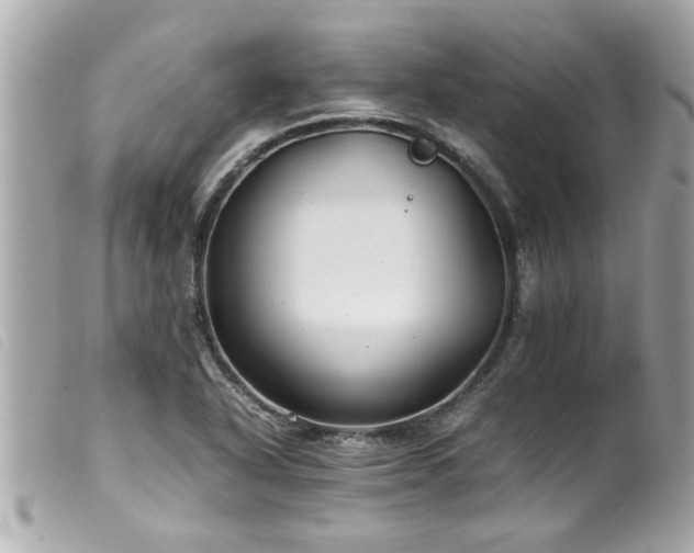 X0000100221318200805301339