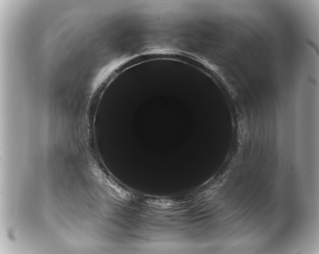 X0000100221319200805301339
