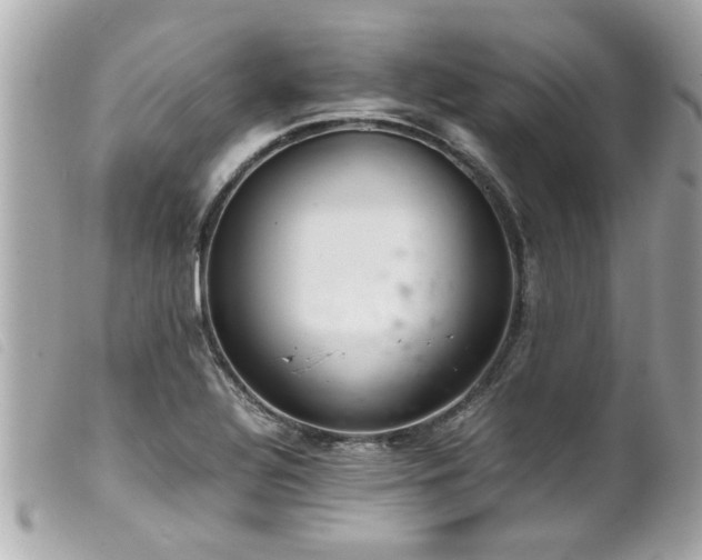 X0000100221320200805301339
