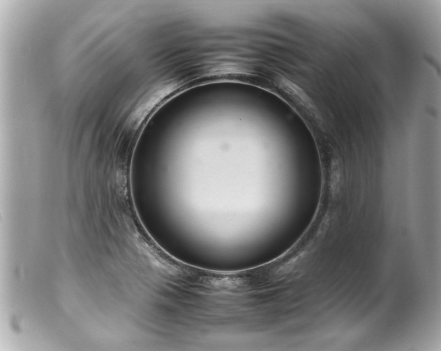 X0000100221321200805301339
