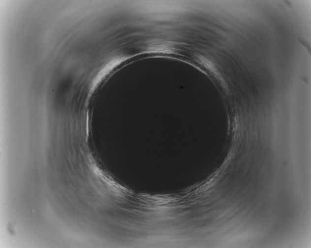 X0000100221323200805301339