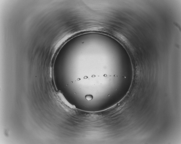 X0000100221324200805301339