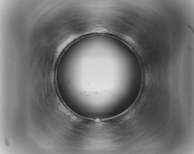 X0000100221326200805301339