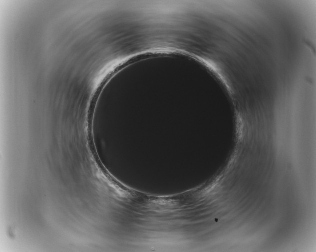 X0000100221327200805301339