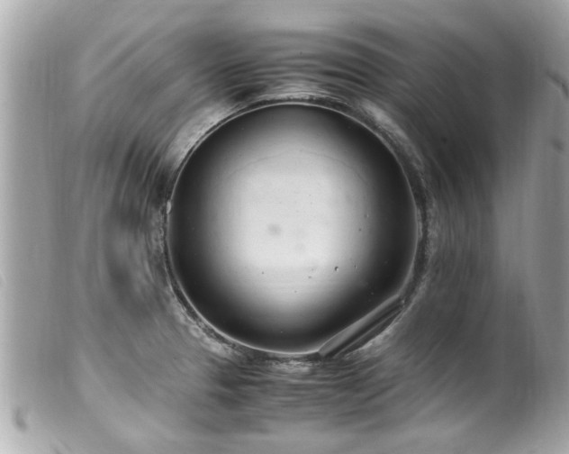 X0000100221329200805301339