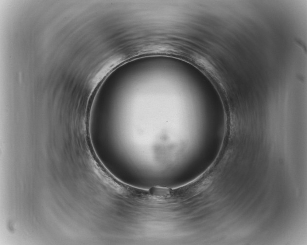 X0000100221330200805301339