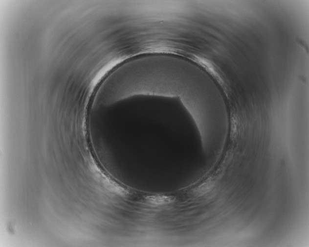 X0000100221331200805301339