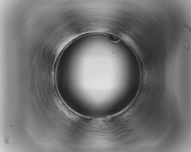 X0000100221332200805301339