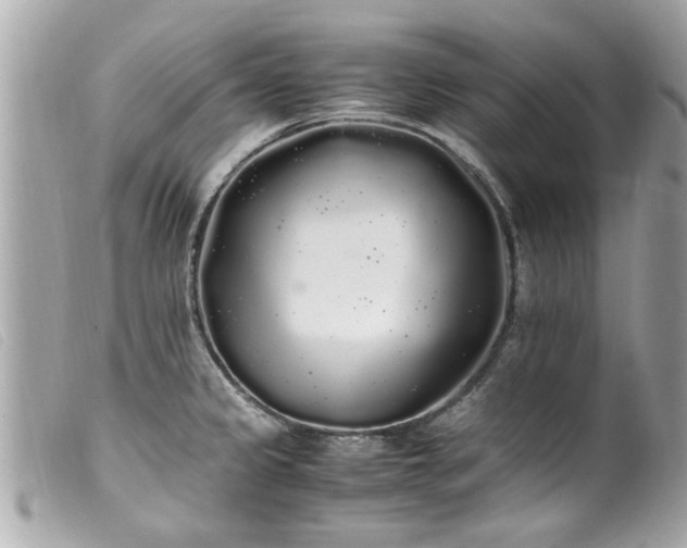 X0000100221333200805301339