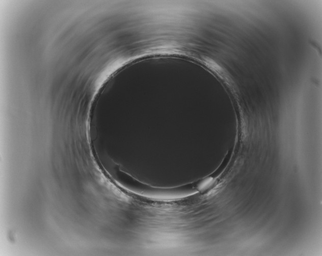X0000100221334200805301339