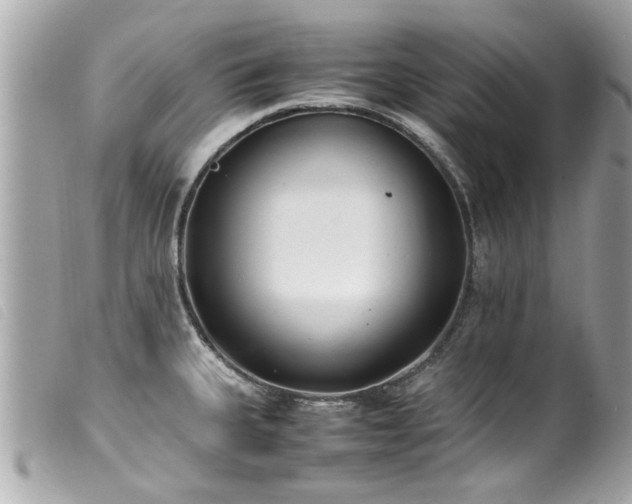 X0000100221335200805301339