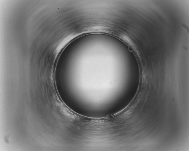 X0000100221336200805301339