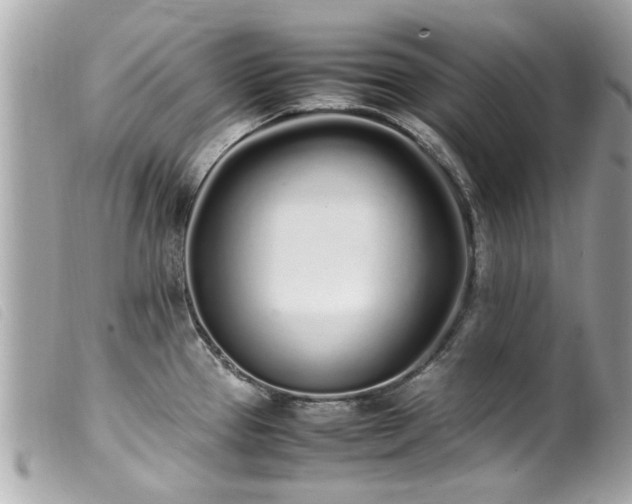 X0000100221337200805301339