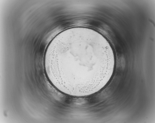 X0000100221338200805301339