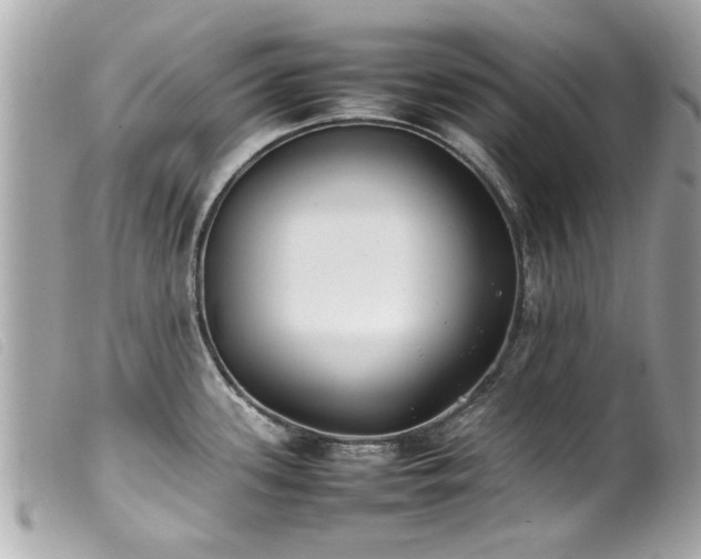 X0000100221339200805301339