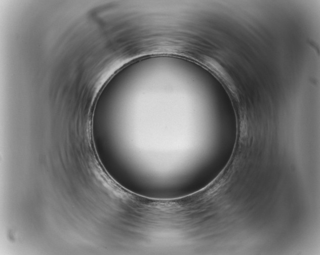 X0000100221340200805301339