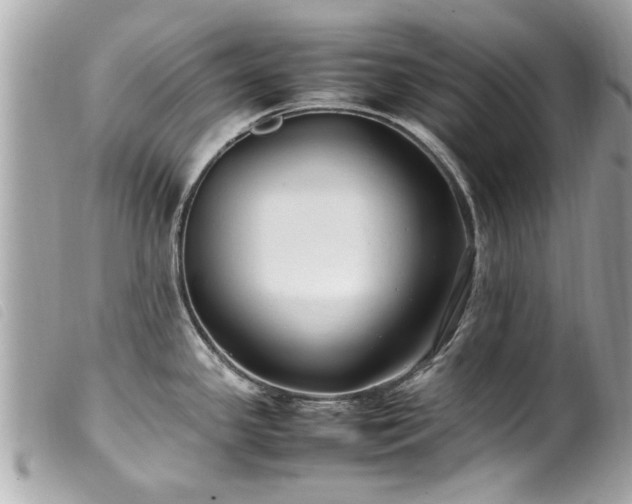 X0000100221341200805301339