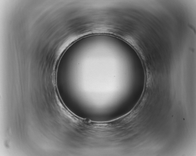 X0000100221342200805301339