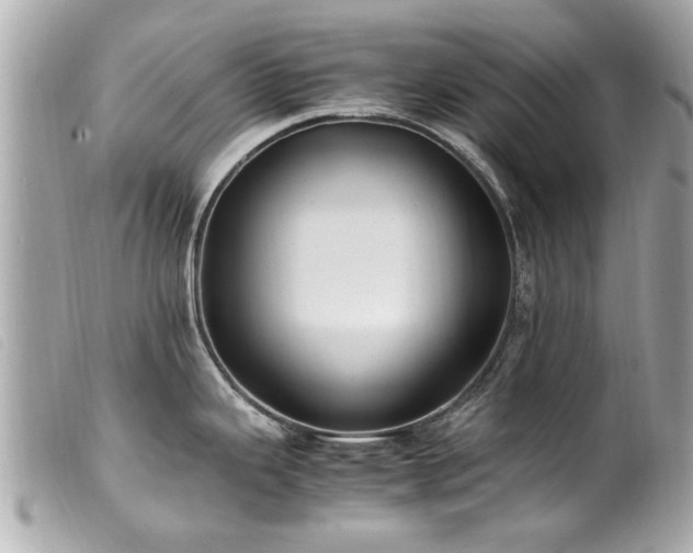X0000100221343200805301339