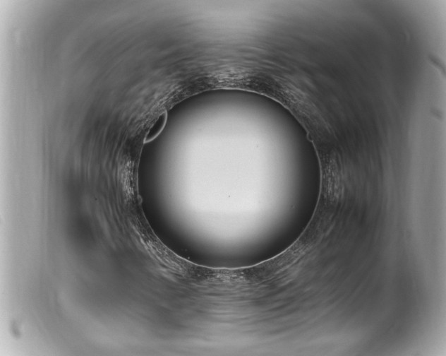 X0000100221346200805301338