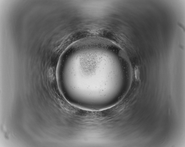 X0000100221347200805301338