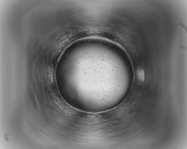 X0000100221348200805301338