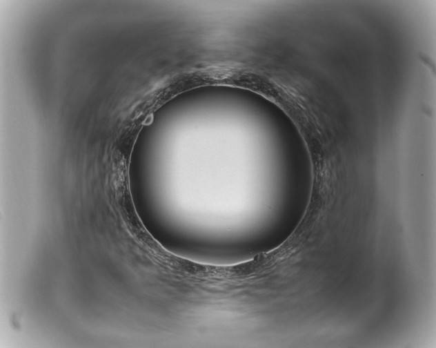 X0000100221349200805301338