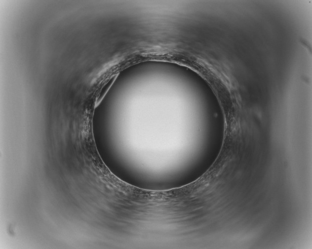 X0000100221350200805301338