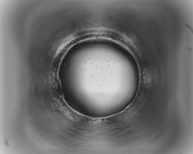 X0000100221352200805301338