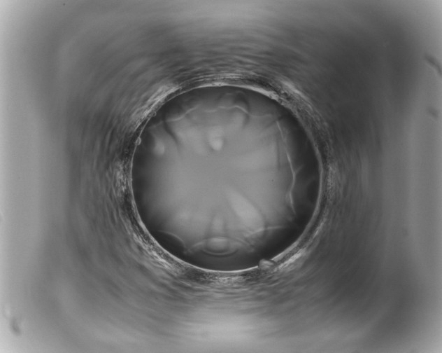 X0000100221353200805301338