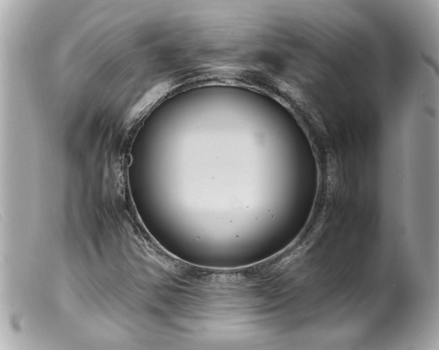 X0000100221354200805301338