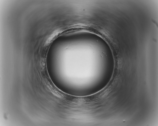 X0000100221355200805301338