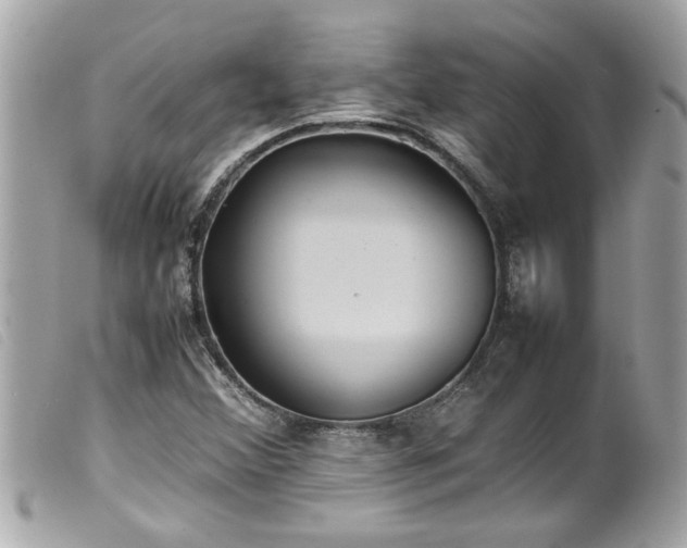 X0000100221356200805301338