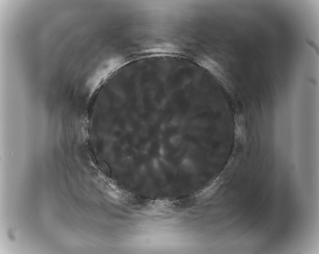X0000100221357200805301338