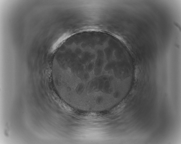 X0000100221359200805301338
