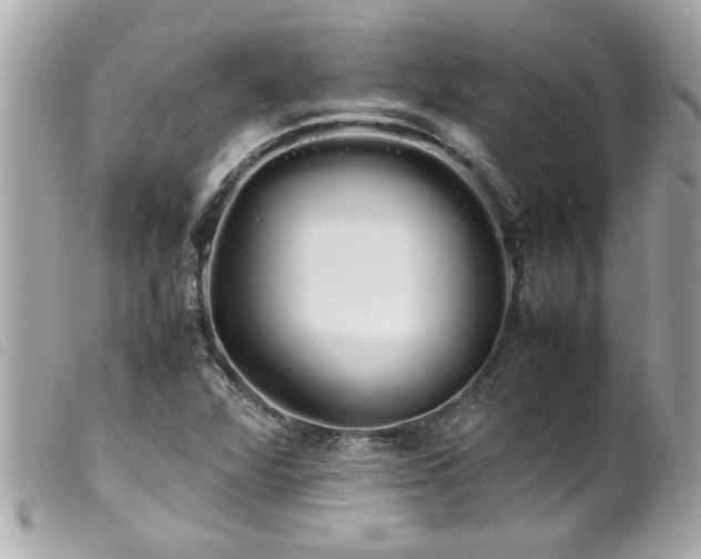 X0000100221360200805301338