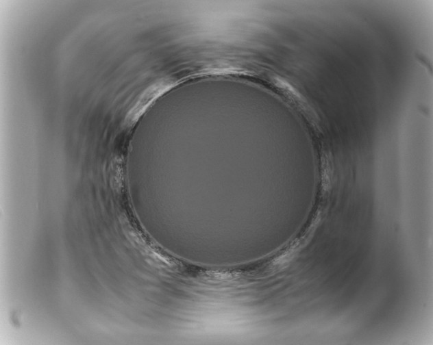 X0000100221361200805301338