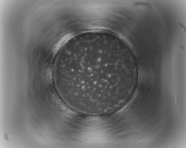 X0000100221362200805301338