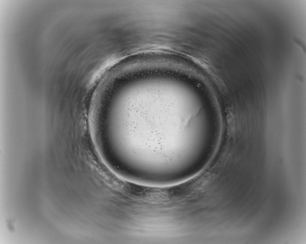 X0000100221363200805301338
