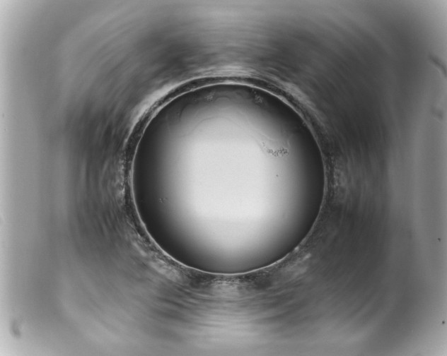 X0000100221364200805301338