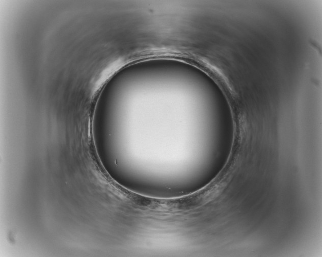X0000100221365200805301338