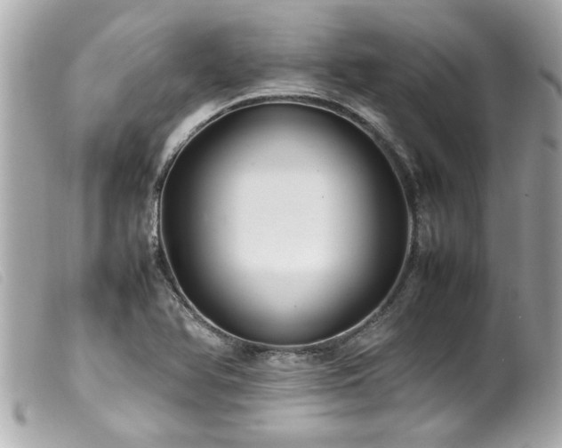 X0000100221366200805301338