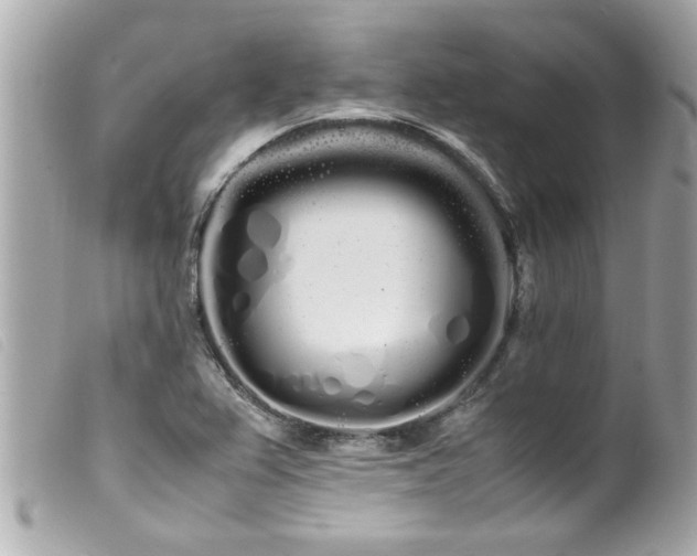 X0000100221367200805301338