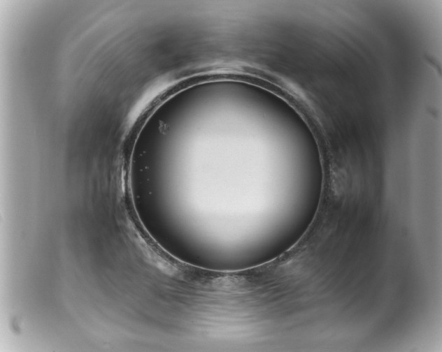 X0000100221368200805301338