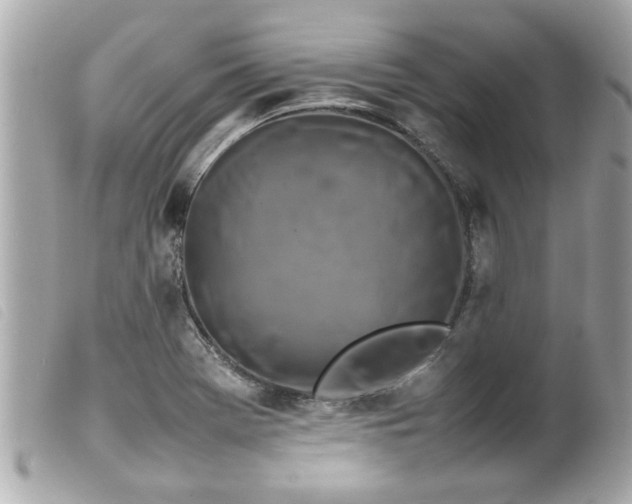 X0000100221369200805301338